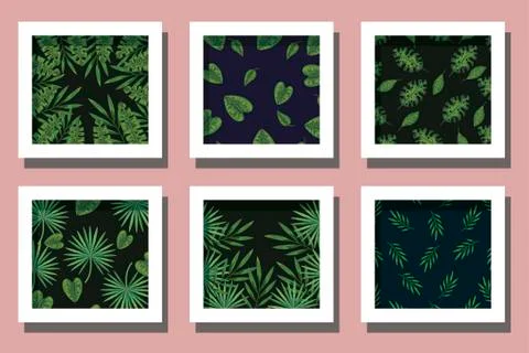 Bundle of patterns leafs tropicals Stock Illustration