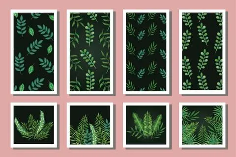 Bundle of patterns with leafs tropicals Stock Illustration