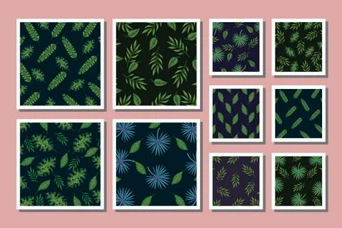 Bundle of patterns leafs tropicals Stock Illustration