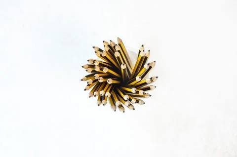 A bundle pencils in a case, view from top with isolated white background Foto stock