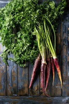 Bundle of purple carrot Stock Photos