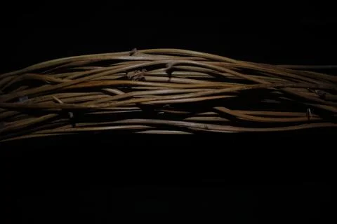 Bundle of Rattan Roots with Natural Texture Isolated on Black Background Stock Photos