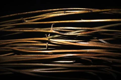 Bundle of Rattan Roots with Natural Texture Isolated on Black Background Stock Photos