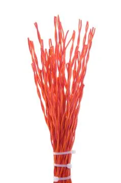 Bundle of red cables Stock-Fotos