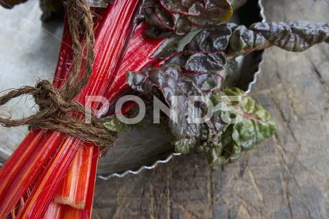 A bundle of red chard (detail) Stock Photos