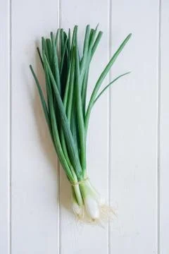 Bundle of scallions or spring onions Stock Photos
