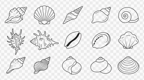 Bundle Set of Linear Seashell Outline Vector Icons Collection for Creative .. Stock Illustration