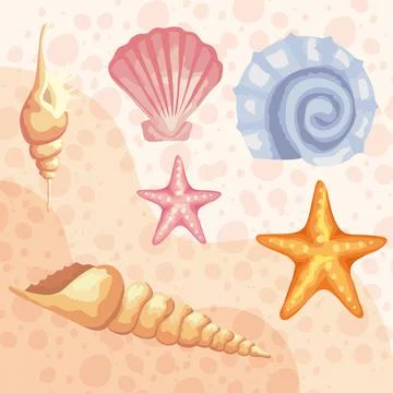 Bundle of six sea shells colors set pattern Stock Illustration