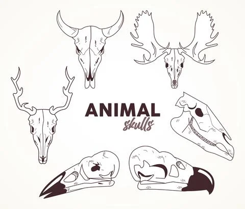 Bundle of six skulls animals heads icons Stock Illustration