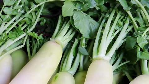 Bundle of smooth white daikon in market Stock Footage 338168809