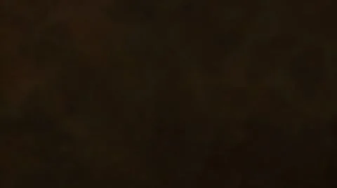 A bundle of spaghetti Video stock 8573406