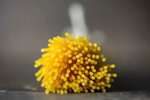 A bundle of spaghetti Stock Photos