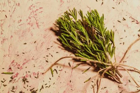 Bundle of sprigs of rosemary on a textural background Stock Photos