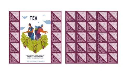 Bundle for tea packaging design vector illustration isolated. Stock Illustration
