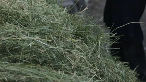 A bundle of tied hay 5 Video stock 321195289