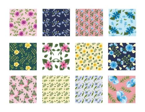 Bundle of twelve Flowers patterns backgrounds Stock Illustration