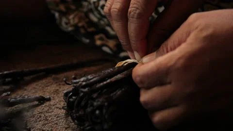 Bundle of Vanilla pods prepared Stock Footage 221442678