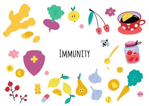 Bundle of vector illustration, immunity theme set. Natural vitamins. Health.. Stock Illustration