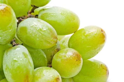 A Bundle of Wet Grapes Stock Photos