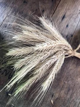 A bundle of wheat ears Stock Photos
