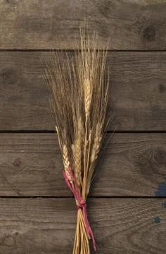 Bundle of wheat Stock Photos