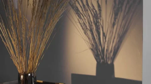 Bundle of wheat in a room vase as a decoration. Timelapse Stock-Footage 231994607