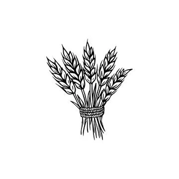 Bundle of Wheat Stalks Line Drawing. Vector icon. Stock Illustration