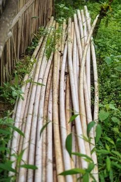 A bundle of white PVC pipes tied with a plastic string ready for construction Stock Photos