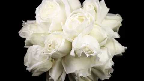 A bundle of white roses Slowly revolving Stock Footage 82336017