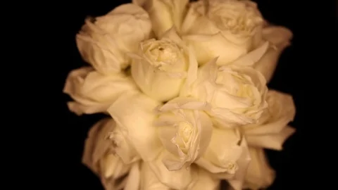A bundle of white roses Slowly revolving Video stock 82336402