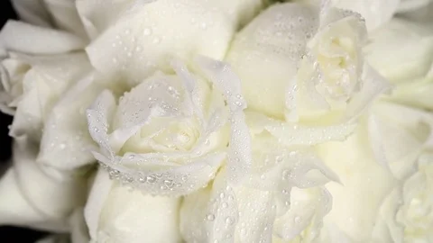 A bundle of white roses Slowly revolving Video stock 82336690