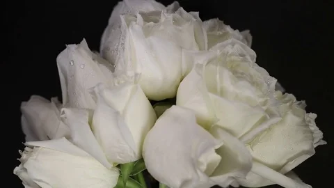 A bundle of white roses Slowly revolving Video stock 82336844