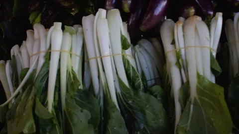 Bundled fresh petchy, leafy vegetable on display at the fresh market Stock Footage 101968996