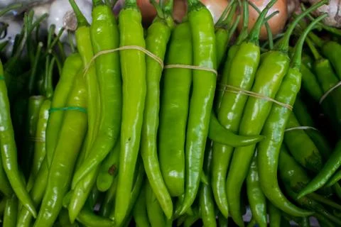 Bundled Green Chilly Pepper Stock Photos