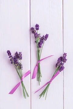 Bundles of lavender Stock-Fotos
