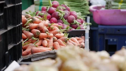 Bundles of small carrots stacked in a compact pile on a market selling surface Video stock 334854319