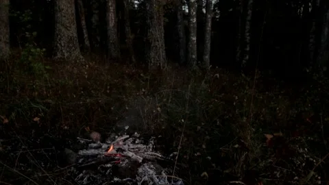 Bunfire Video stock 287754585