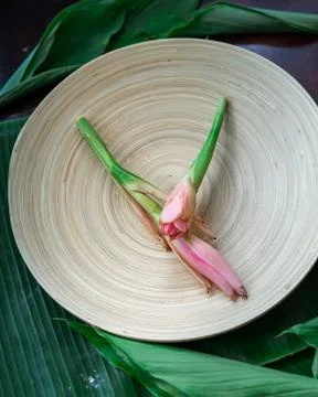 Bunga Kantan known as Torch Ginger flower with scientific name Etlingera herb Foto stock