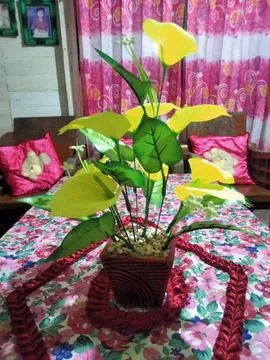 Bunga Lily Stock Photos