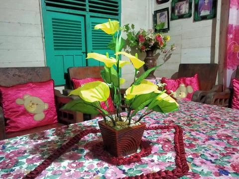 Bunga Lily Stock Photos