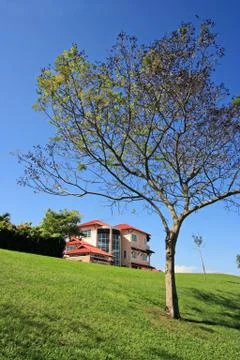 Bungalow Stock Photos