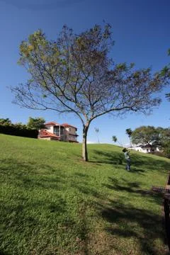 Bungalow Stock Photos