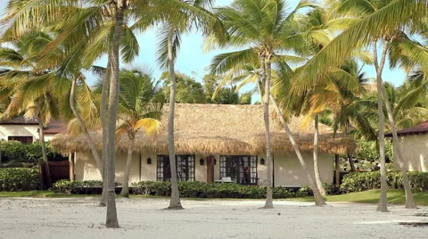 Bungalow on a tropical beach Stock Footage 46816031
