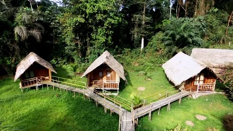 From bungalows to primary forest Stock Footage
