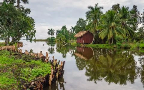 Bungalows on the river in the rainforest Stock Photos