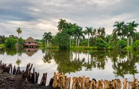 Bungalows on the river in the rainforest Stock Photos