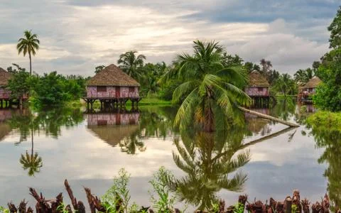 Bungalows on the river in the rainforest Stock Photos