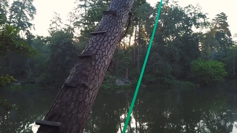 Bungee rope on tree Stock Footage 93747059