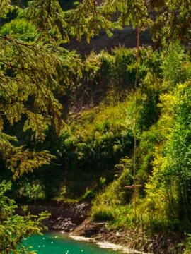 Bungee stick against the background of forest lake coastline. Stock Photos