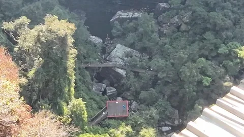 Bungi Jumping into a forest gorge Stock Footage 313815745
